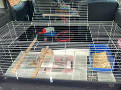 This was their sleeping place overnight
