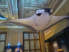 A great national museum, one can spend a whole day there