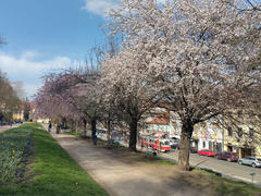 This is the hill next to the castle